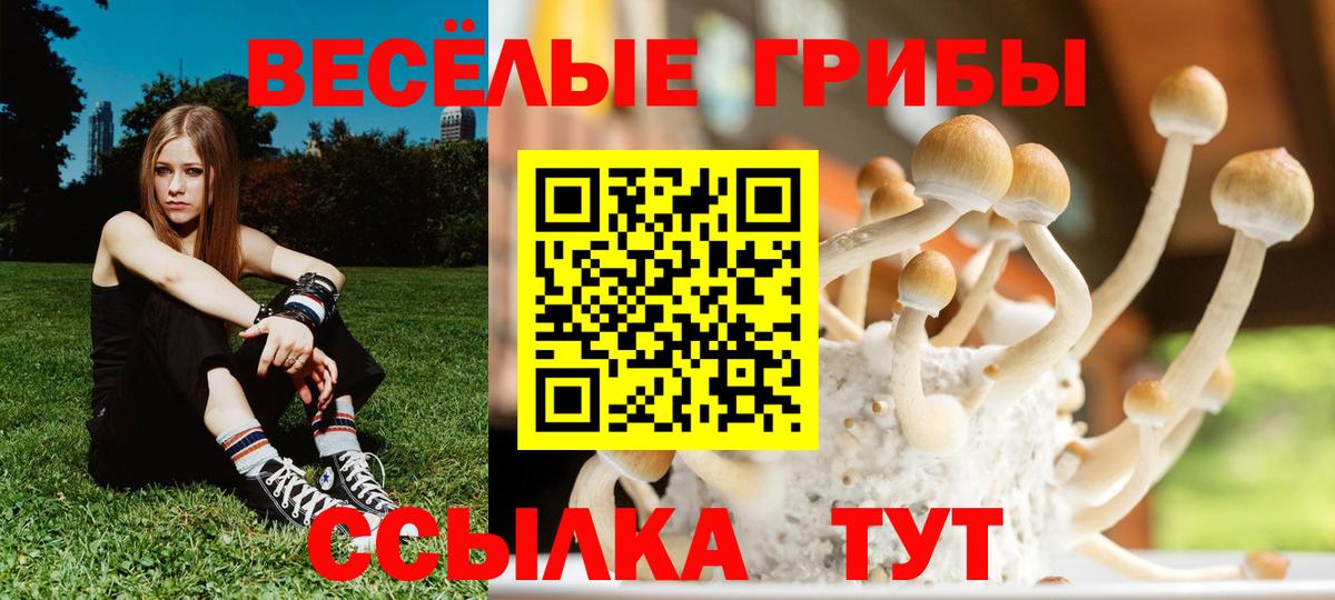 цена наркотик  Вход с VPN  Саяногорск  Псилоцибиновые грибы Magic Shrooms 