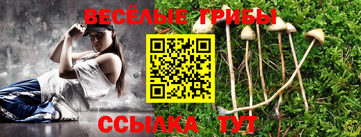 Псилоцибиновые грибы ЛСД Саяногорск